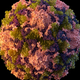 Before July 21, 2022, a polio case hadn’t been detected in the U.S. since 2013. Prior to this summer, no indications of local polio transmission had been detected nationally since 1979.